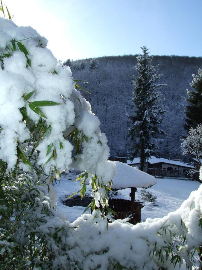 Hotel Forsthaus Volkesfeld Dış mekan fotoğraf